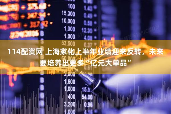 114配资网 上海家化上半年业绩迎来反转，未来要培养出更多“亿元大单品”