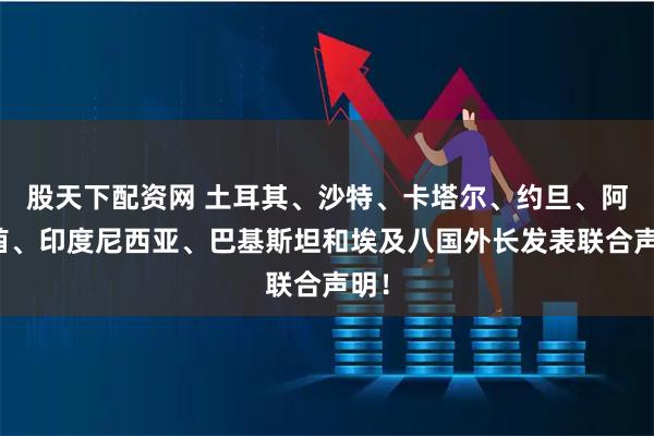 股天下配资网 土耳其、沙特、卡塔尔、约旦、阿联酋、印度尼西亚、巴基斯坦和埃及八国外长发表联合声明!