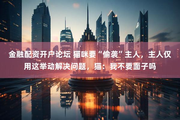 金融配资开户论坛 猫咪要“偷袭”主人，主人仅用这举动解决问题，猫：我不要面子吗