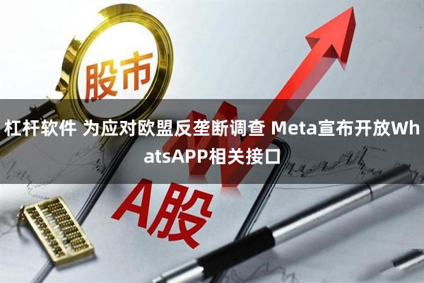 杠杆软件 为应对欧盟反垄断调查 Meta宣布开放WhatsAPP相关接口